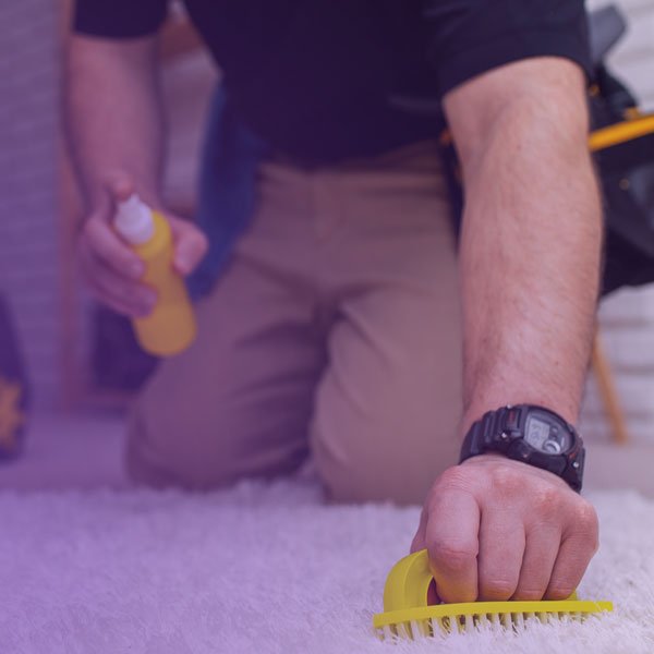 Shine Maid carpet cleaning in Jacksonville #2